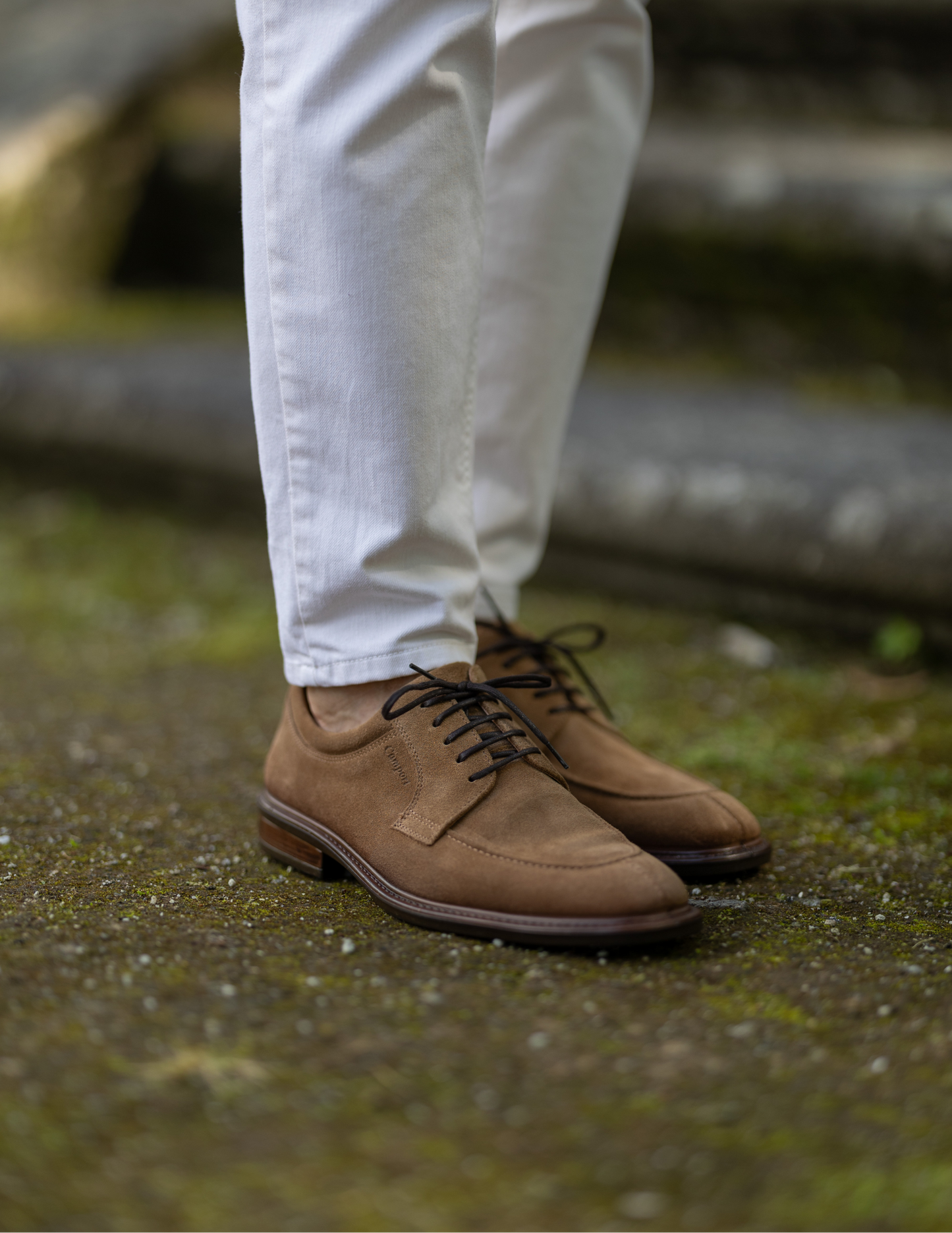 Sapatos New Nobleman II Camel