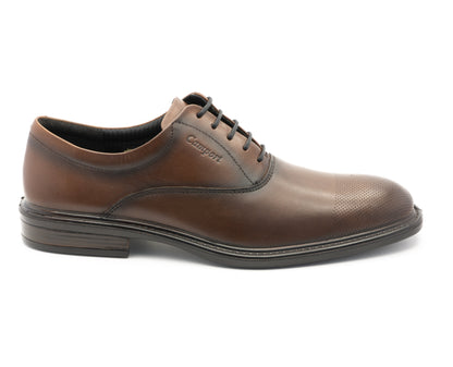 Sapatos New Nobleman Castanho