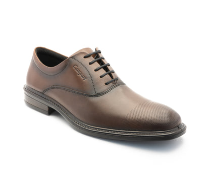 Sapatos New Nobleman Castanho